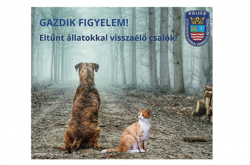 Kutyások, macskások, figyelem!